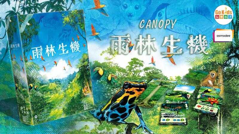 雨林生機 Canopy 繁體中文版 高雄龐奇桌遊