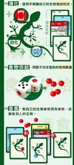 演化論 物種起源 Evolution 繁體中文版 高雄龐奇桌遊