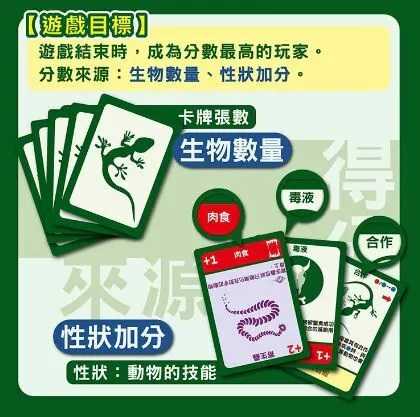 演化論 物種起源 Evolution 繁體中文版 高雄龐奇桌遊