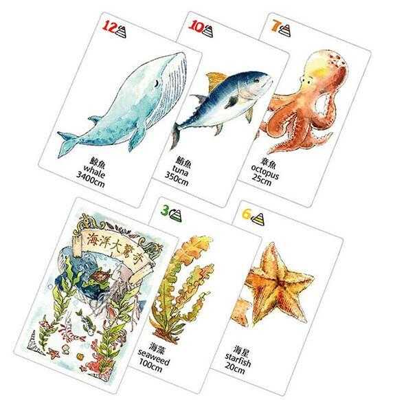 海洋大驚奇 食物鏈教育桌遊 Amazing Ocean Food Chain 繁體中文版 高雄龐奇桌遊