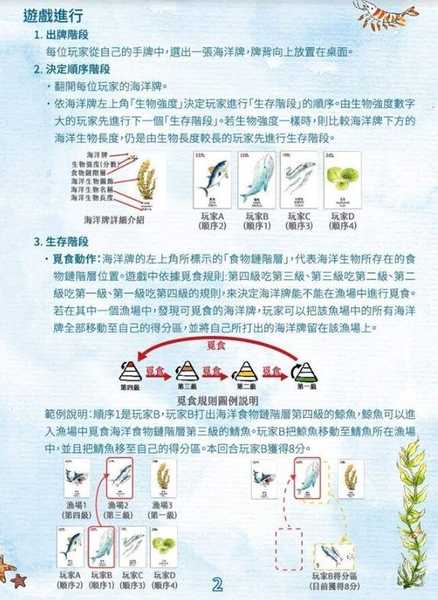 海洋大驚奇 食物鏈教育桌遊 Amazing Ocean Food Chain 繁體中文版 高雄龐奇桌遊