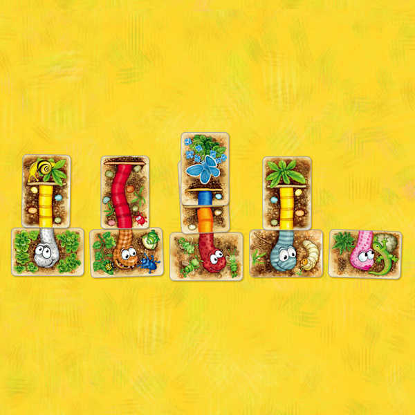 蟲蟲伸展秀 DA IST DER WURM DRIN 繁體中文版 高雄龐奇桌遊