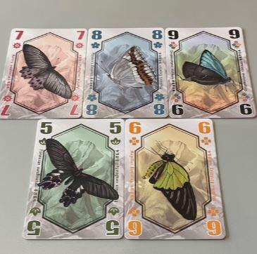 蝴蝶王國 Butterfly Kingdom 繁體中文說明書 高雄龐奇桌遊