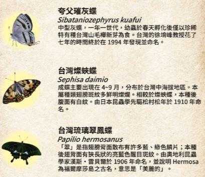 蝴蝶王國 Butterfly Kingdom 繁體中文說明書 高雄龐奇桌遊