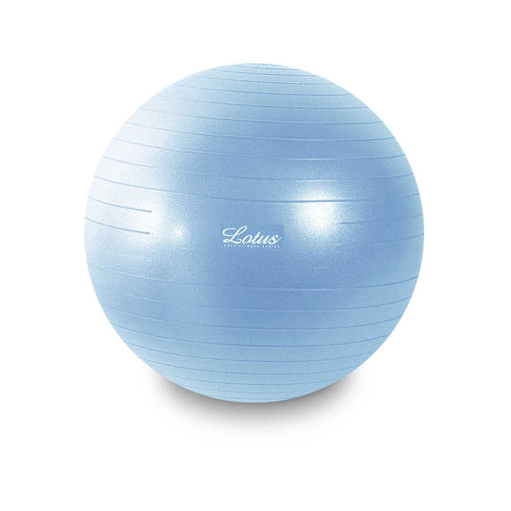 Lotus 瑜珈球抗力球 健身復健大球防爆球65cm 附打氣配件組