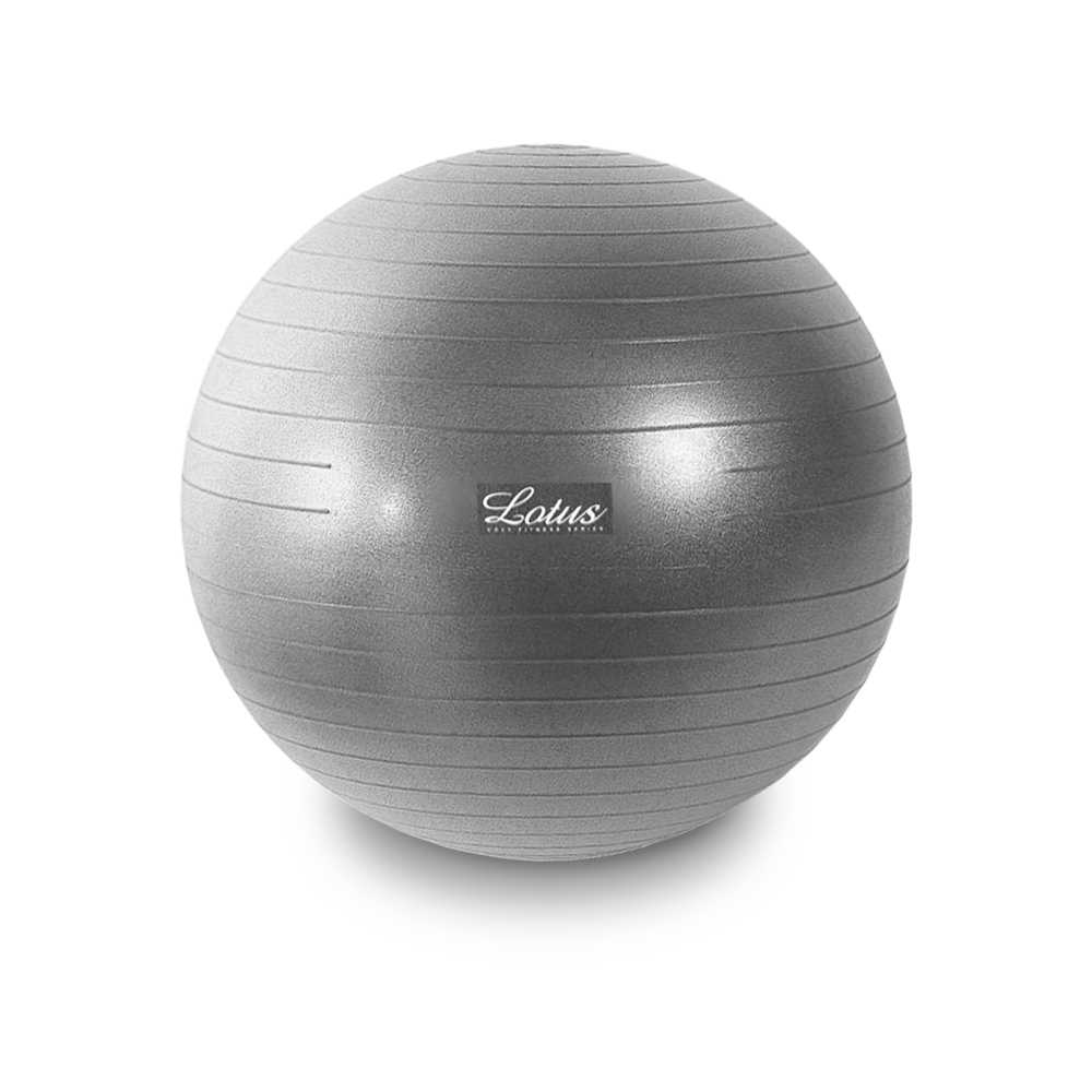 Lotus 瑜珈球抗力球 健身復健大球防爆球65cm 附打氣配件組