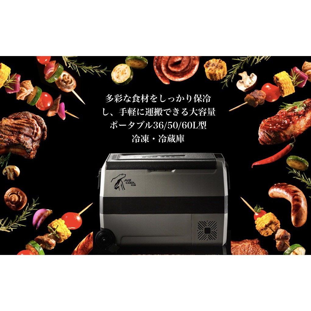艾比酷行動冰箱  LG-D60DC車用冰箱 兩年保固 【露戰隊】