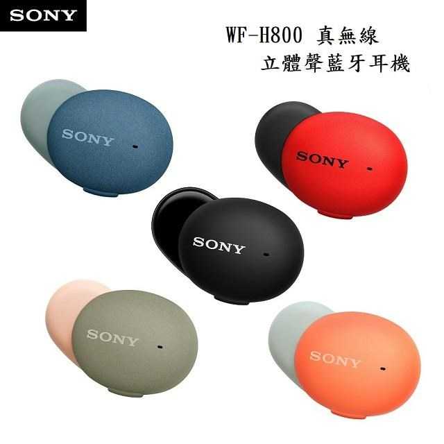 贈好禮【高飛網通】SONY 索尼 WF-H800 真無線立體聲藍牙耳機 台灣公司貨 原廠盒裝
