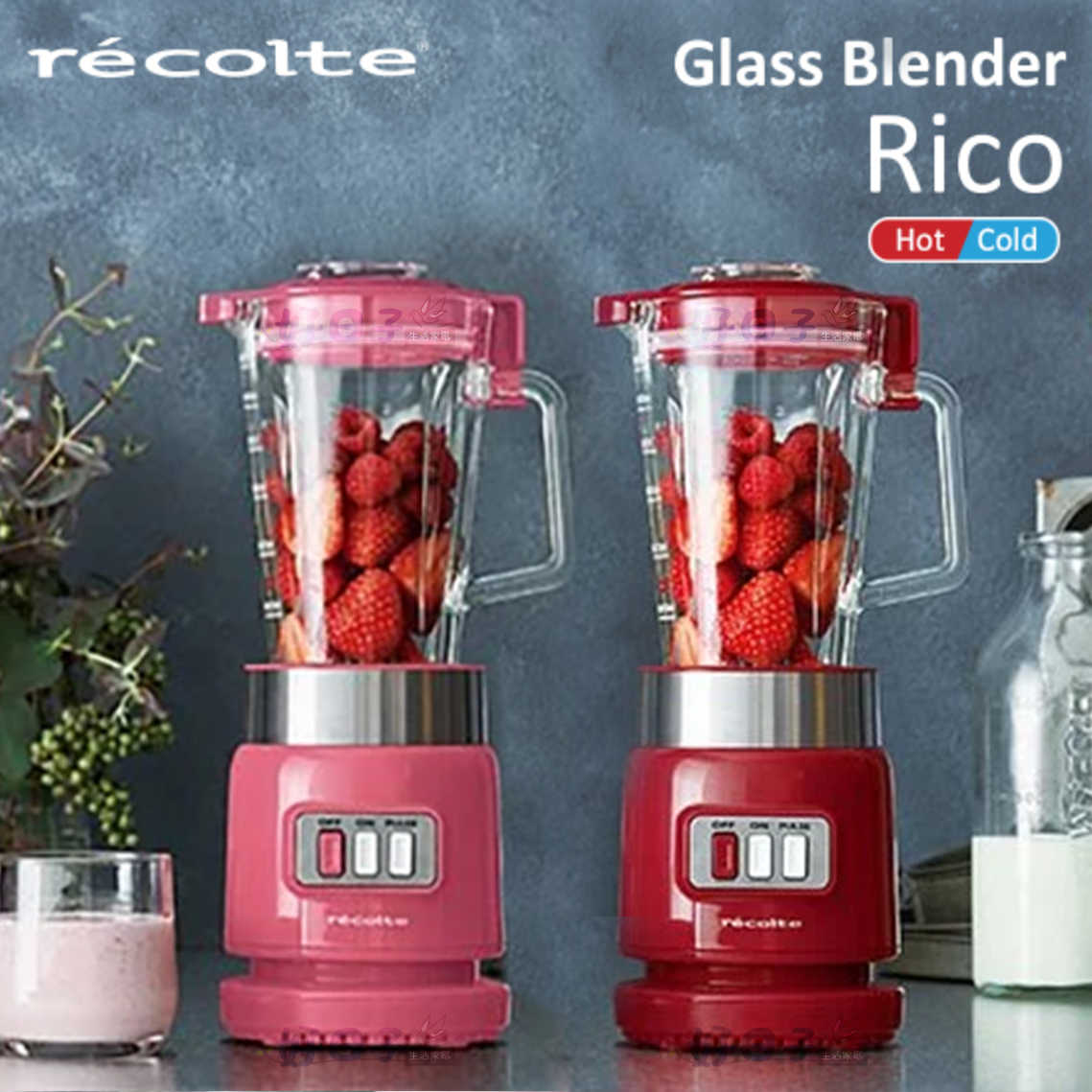 Recolte麗克特 Glass Blender Rico 耐熱果汁機