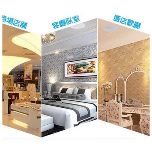 Tikaudio PW-5- 25圓型藍芽崁入式喇叭