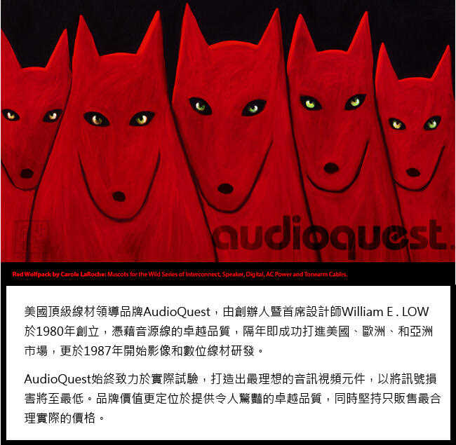 鈞釩音響~美國 Audioquest USB-Digital Audio Cinnamon USB 傳輸線 (A↔B)