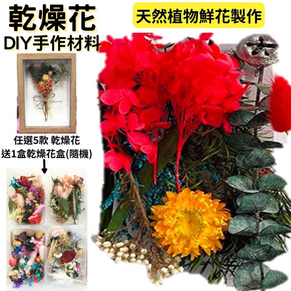 【A-ONE】乾燥花材料包 畢業禮物 永生花 浮油花 乾燥花DIY套件 乾燥花 自然乾燥花材料包 B03 火紅太陽