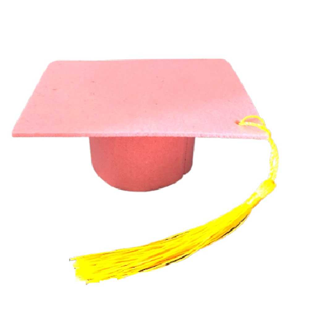 【A-ONE 匯旺】粉色(大) 不織布博士帽 流蘇畢業帽 學士帽 迷你碩士帽 diy材料 蛋糕裝飾 花束佈置 禮物