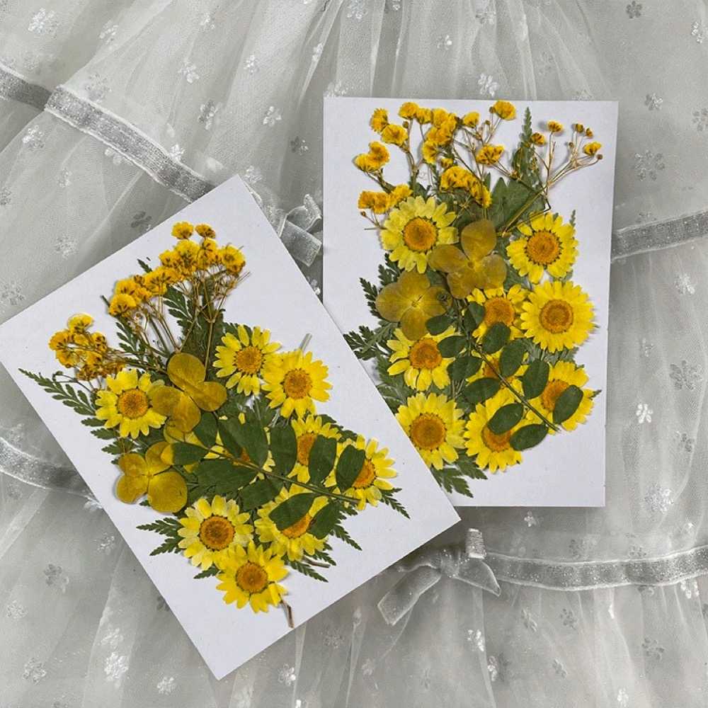 【A-ONE】乾燥壓花 押花材料 永生花 植物花卉 手賬手工裝飾 DIY材料 花朵 壓花貼畫 材料包