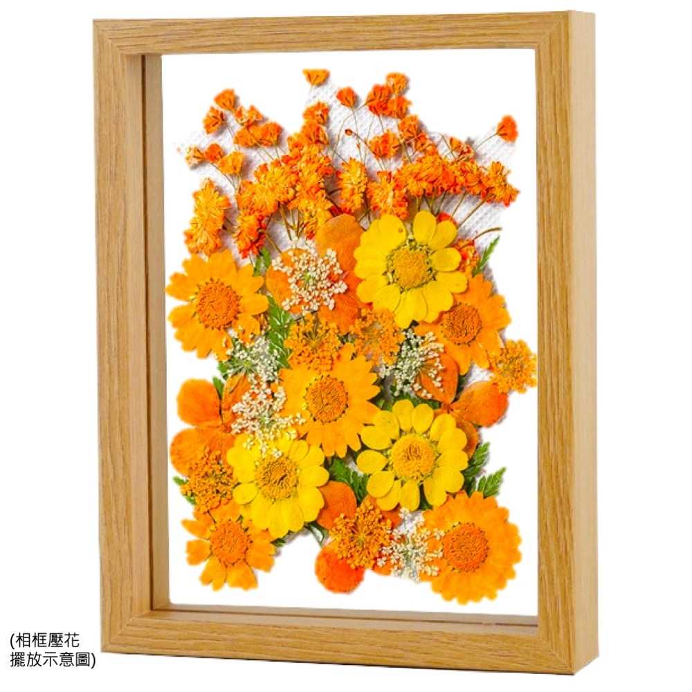 【A-ONE】天然乾燥花材包 小菊花 櫻花 粉黃 押花 壓花書籤 拍攝道具 花藝材料包 永生花材