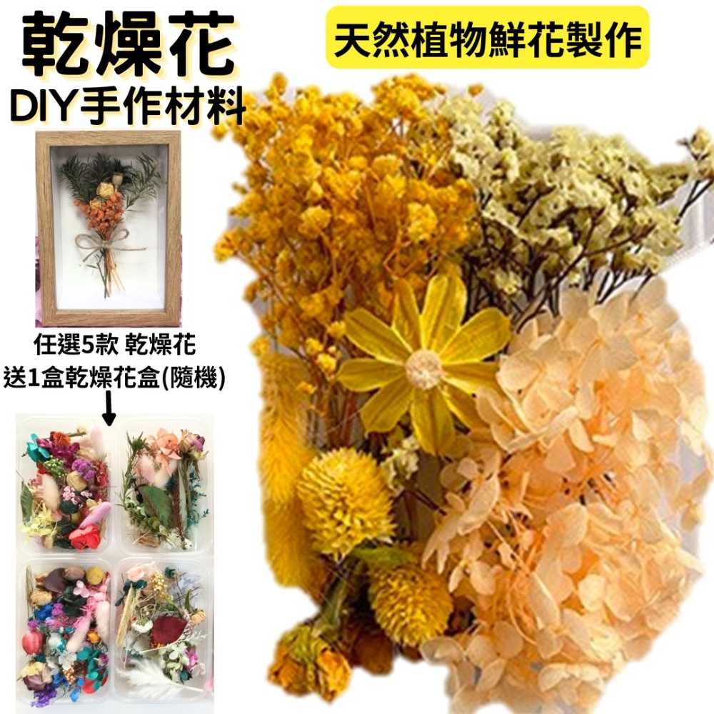 【A-ONE】乾燥花盒 永生花 DIY手作 花材盒 拍攝道具 佈置 裝飾 乾燥花 B06 黃海蝶舞