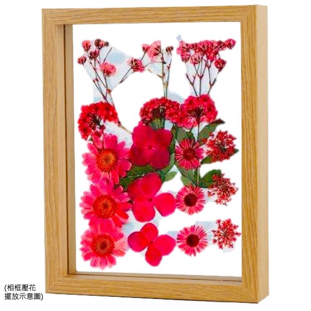 【A-ONE】天然壓花 押花書籤 壓花材料包 乾燥花書籤 壓花材料 壓花DIY 樹葉書籤 乾燥花