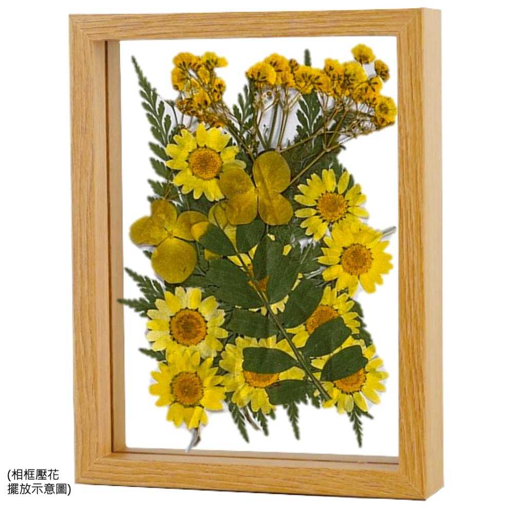 【A-ONE】乾燥壓花 押花材料 永生花 植物花卉 手賬手工裝飾 DIY材料 花朵 壓花貼畫 材料包