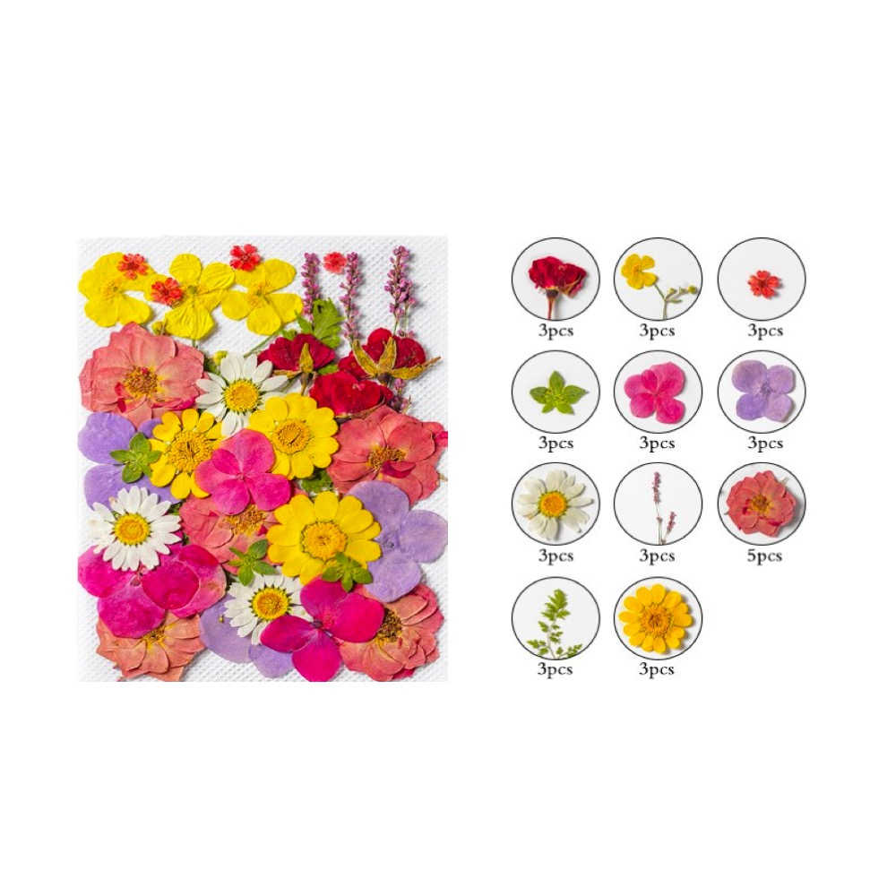 【A-ONE】綜合乾燥花包 永生花材 可做蠟燭 浮油花 壓花 卡片 教學花材包 乾燥花材包