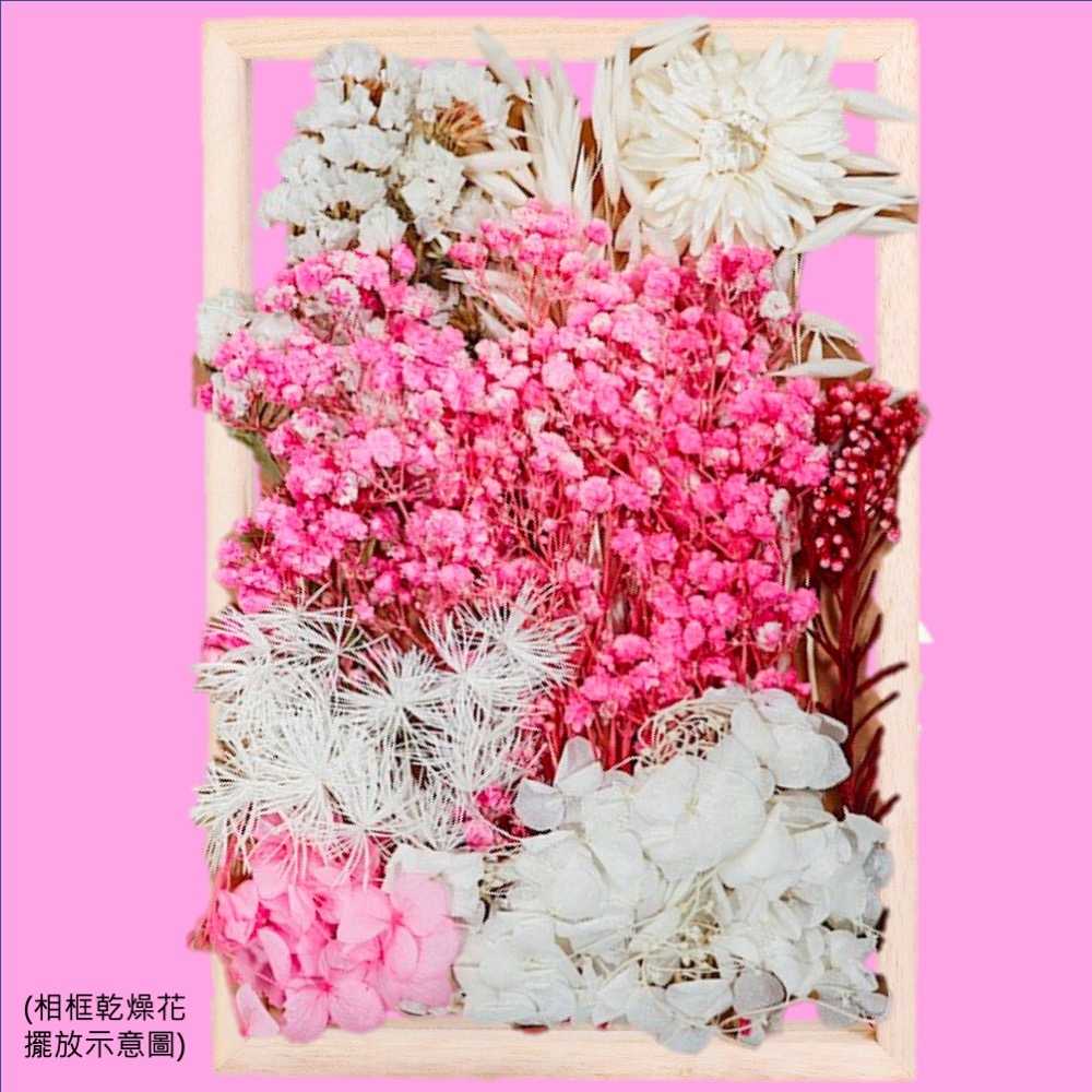 【A-ONE】花材 乾燥花材 乾燥花 DIY浮游花 不凋花 永生花 乾燥花花材 捧花 C10 火樹銀花