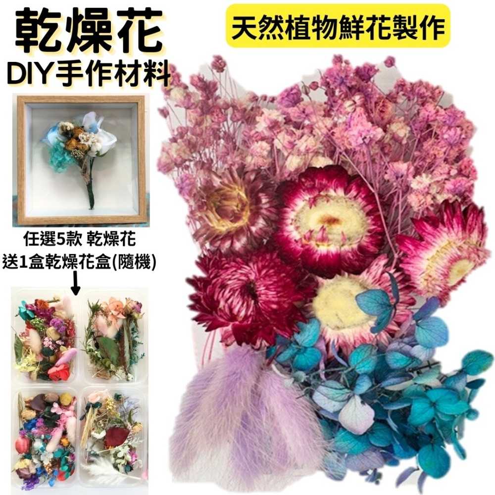 【A-ONE】乾燥花盒 永生花 DIY手作 花材盒 拍攝道具 佈置 裝飾 乾燥花 A11 紫色幽蘿