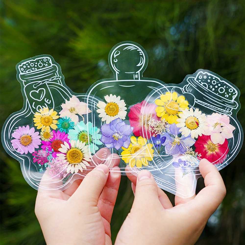 【A-ONE】乾燥壓花 押花材料 永生花 植物花卉 手賬手工裝飾 DIY材料 花朵 壓花貼畫 材料包