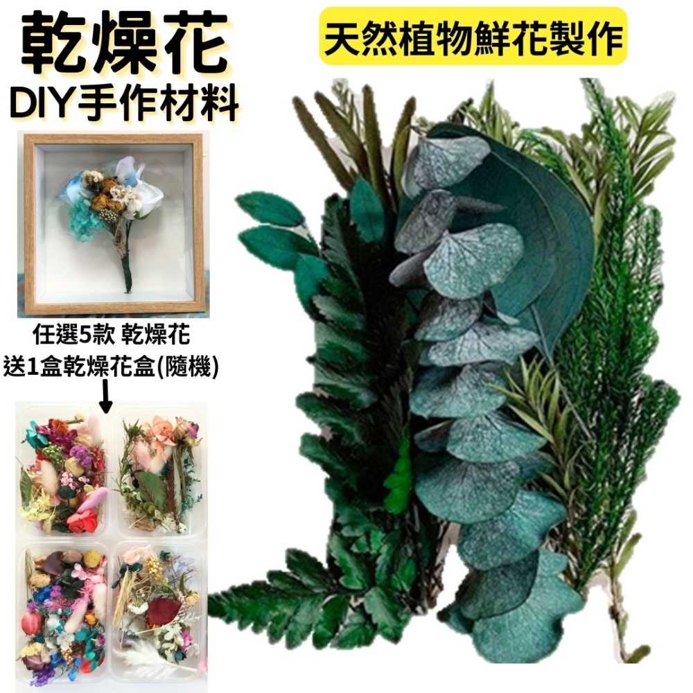 【A-ONE】乾燥花 永生花 壓花材料包DIY香薰蠟燭 手作授課 活動團扇材料包 相框乾燥花 手作花 A01 翠綠大地