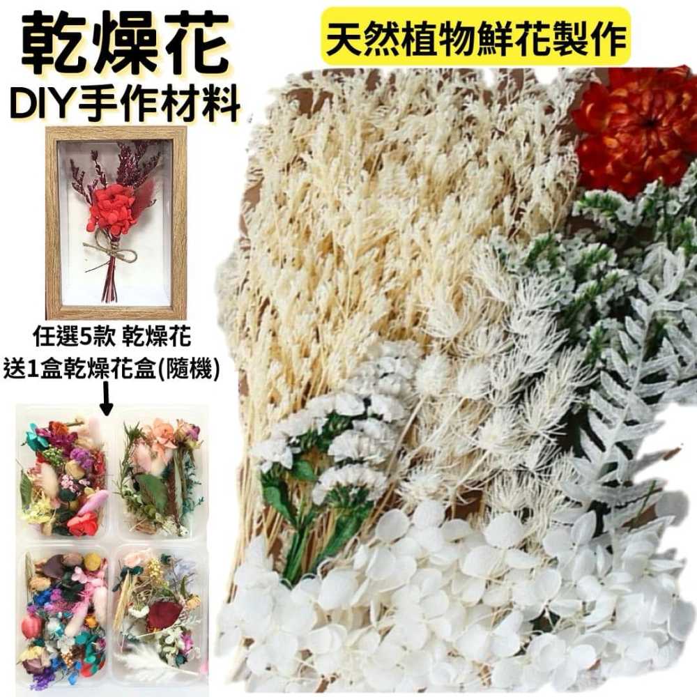 【A-ONE】永生花素材 永生滿天星 大滿天星 婚禮佈置 手作素材 攝影道具 乾燥花束 手作乾燥花 C01 白雪皚皚