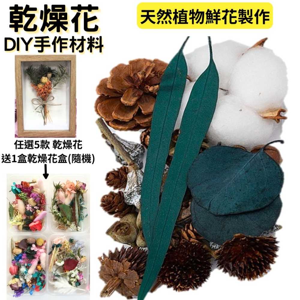 【A-ONE】DIY天然乾燥花 永生花材料包 綜合乾燥花盒 香薰蠟燭 天然棉花 植物果實 B15 綜合乾果盒H