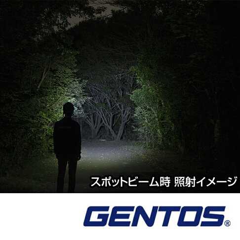 【Gentos】W Star專業高亮度頭燈-USB充電 600流明 IP64 WS-200H USB充電