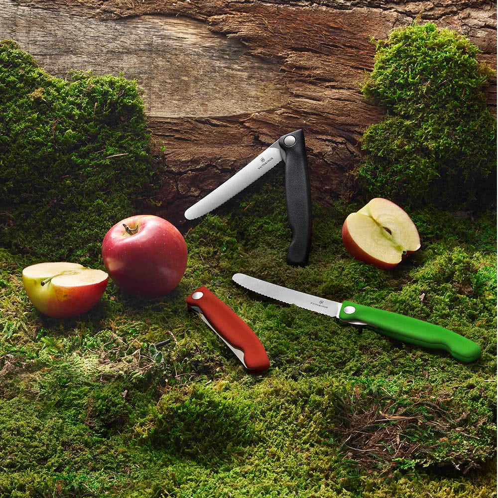 瑞士 VICTORINOX 維氏 折疊式番茄刀 Swiss Classic 野餐刀 黑色(6.7833.FB)