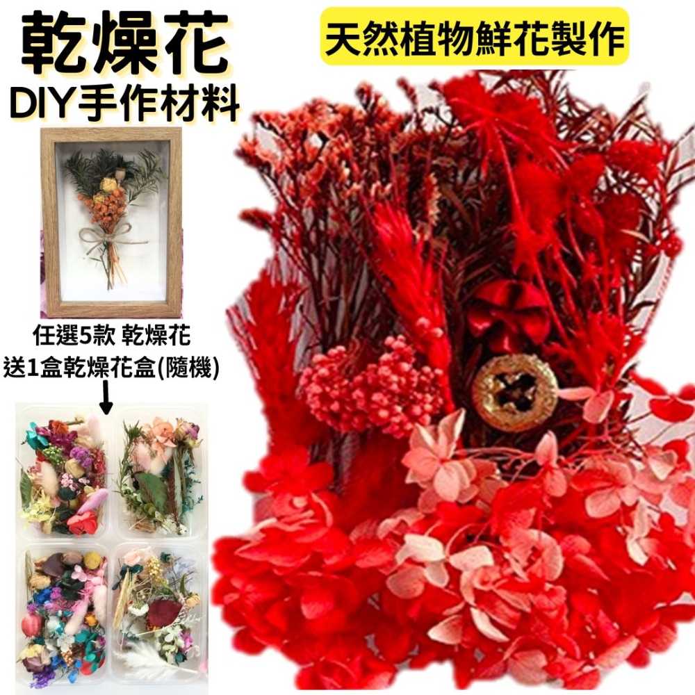 【A-ONE】乾燥花 永生花 索拉花 DIY手作 花材盒 拍攝道具 佈置 送禮裝飾 居家裝飾 B01 熱情如火