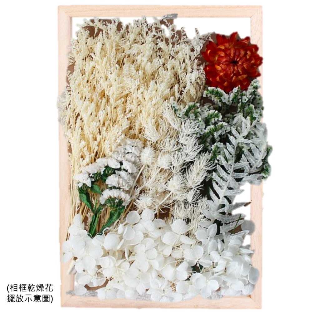 【A-ONE】永生花素材 永生滿天星 大滿天星 婚禮佈置 手作素材 攝影道具 乾燥花束 手作乾燥花 C01 白雪皚皚