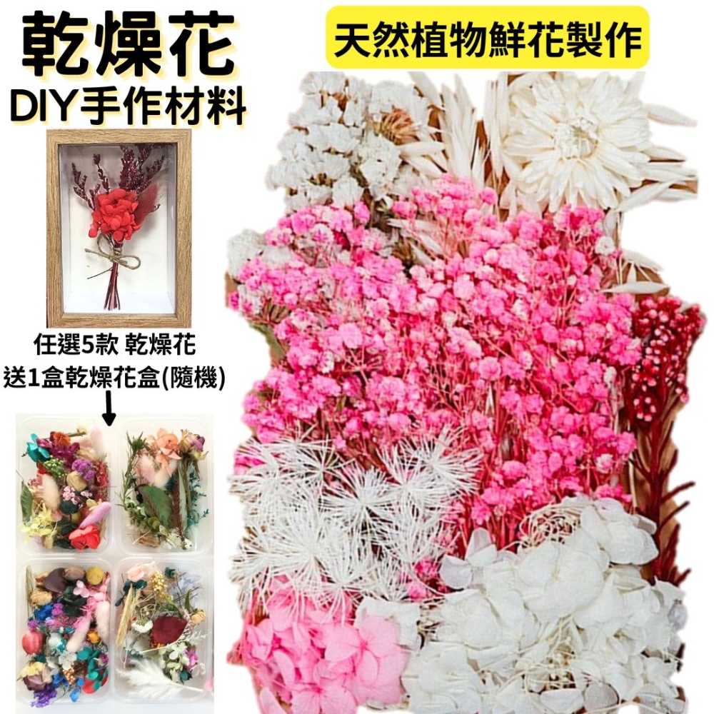 【A-ONE】花材 乾燥花材 乾燥花 DIY浮游花 不凋花 永生花 乾燥花花材 捧花 C10 火樹銀花