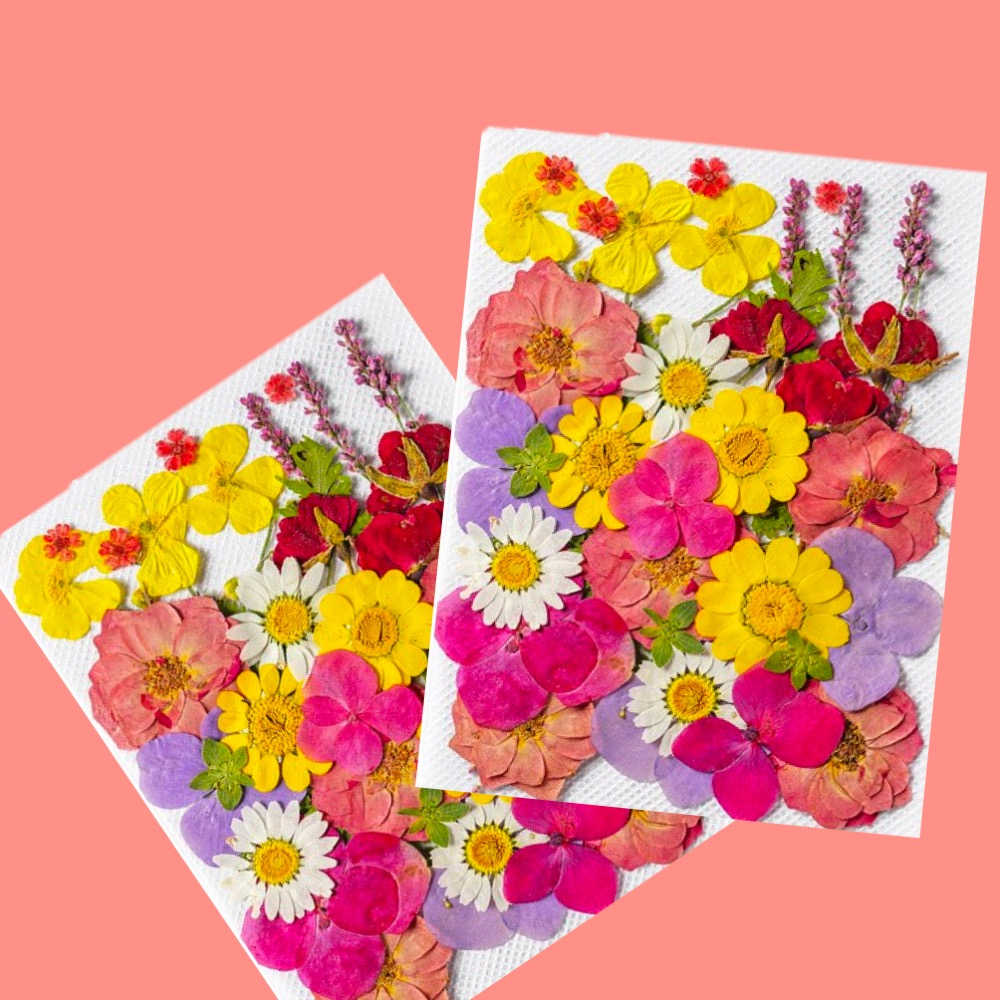 【A-ONE】綜合乾燥花包 永生花材 可做蠟燭 浮油花 壓花 卡片 教學花材包 乾燥花材包