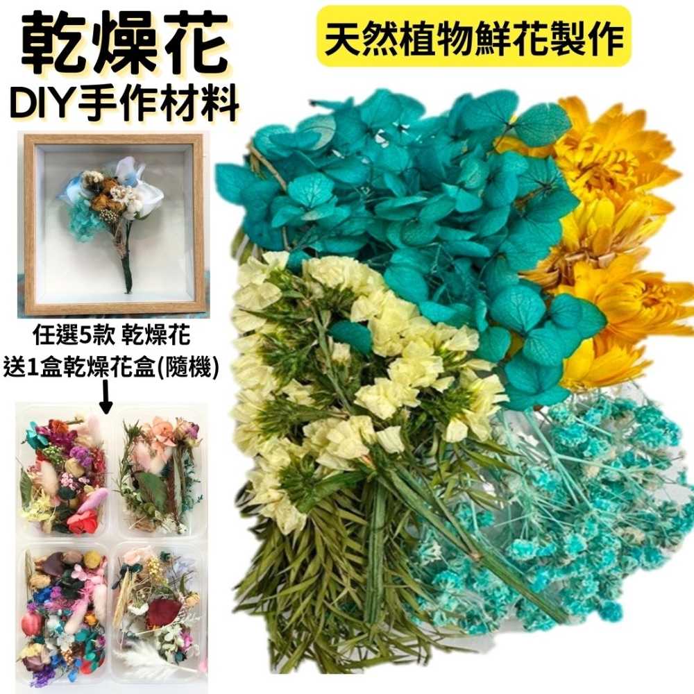 【A-ONE】乾燥花 不凋花 永生花 花材 DIY新手包 拍攝 道具 不凋花 乾燥花 永生花 花材 手作 A06 水藍金