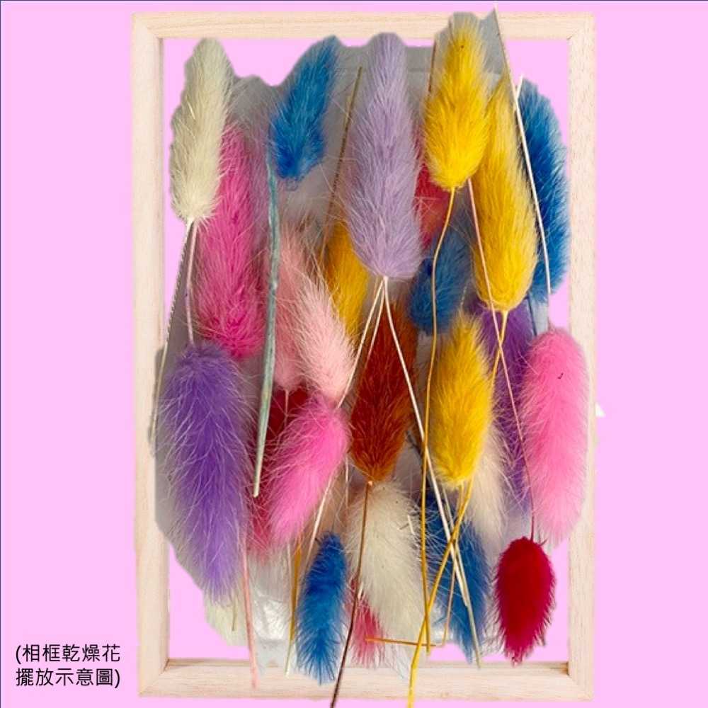 【A-ONE】兔尾草花 綜合乾燥花盒 超高CP 香薰蠟燭 香氛片材料 天然乾燥花 植物果實 拍照道具 永生花 A14