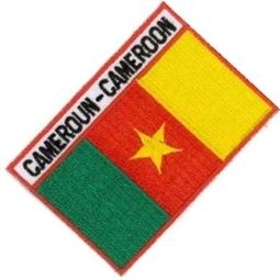 喀麥隆 Cameroun 全繡 補丁圖案 國旗 貼布繡 3D 圖案貼 熨燙 燙貼片 背膠 燙布貼 衣服 臂章1入