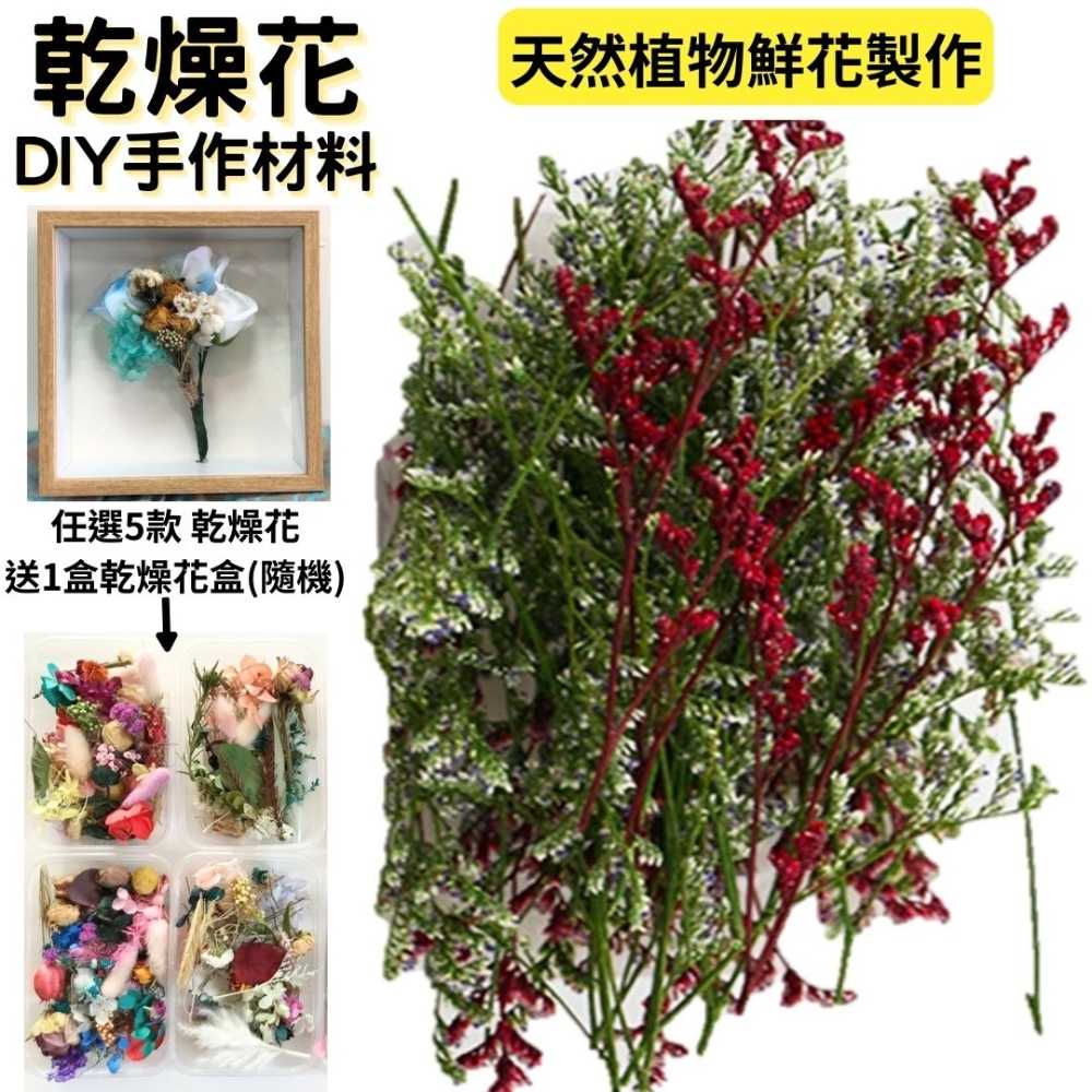 【A-ONE】永生情人草 3色混搭 乾燥花DIY材料包 花材料包 植物果實 花藝材料包 浮游花 綜合乾燥花 A20
