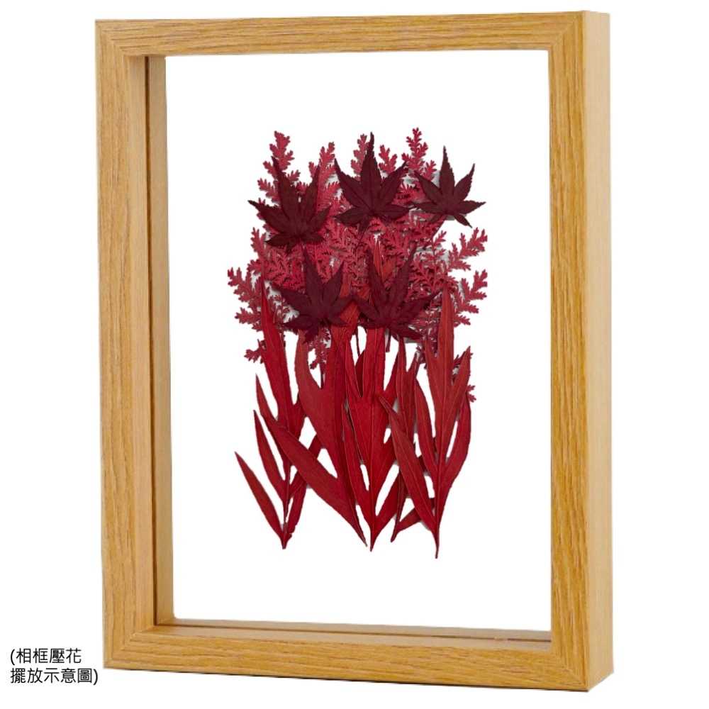 【A-ONE】壓花材料 乾燥花材料 壓花 押花 手工壓花 植物 壓花DIY 乾花 乾燥花DIY 書籤乾燥花