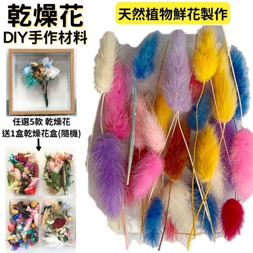 【A-ONE】兔尾草花 綜合乾燥花盒 超高CP 香薰蠟燭 香氛片材料 天然乾燥花 植物果實 拍照道具 永生花 A14