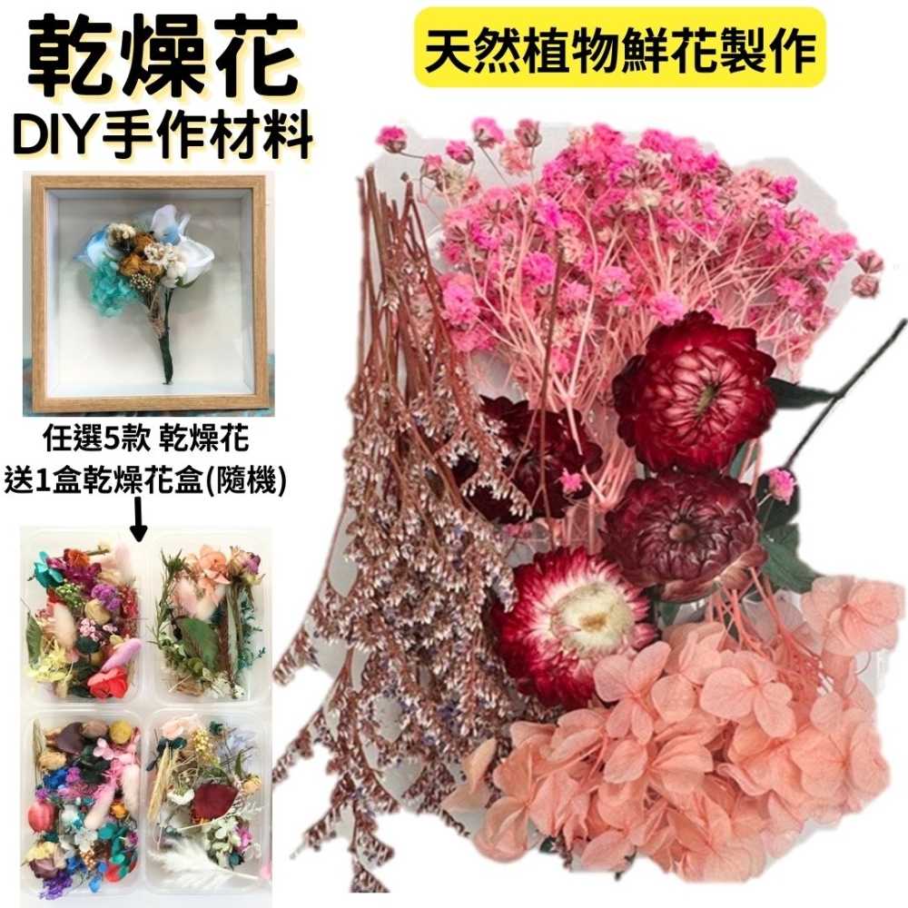 【A-ONE】DIY材料包 永生花材料包 多款多色 乾燥玫瑰 短枝花材 浮游花 乾燥花 不凋花花藝 A12 春花美景