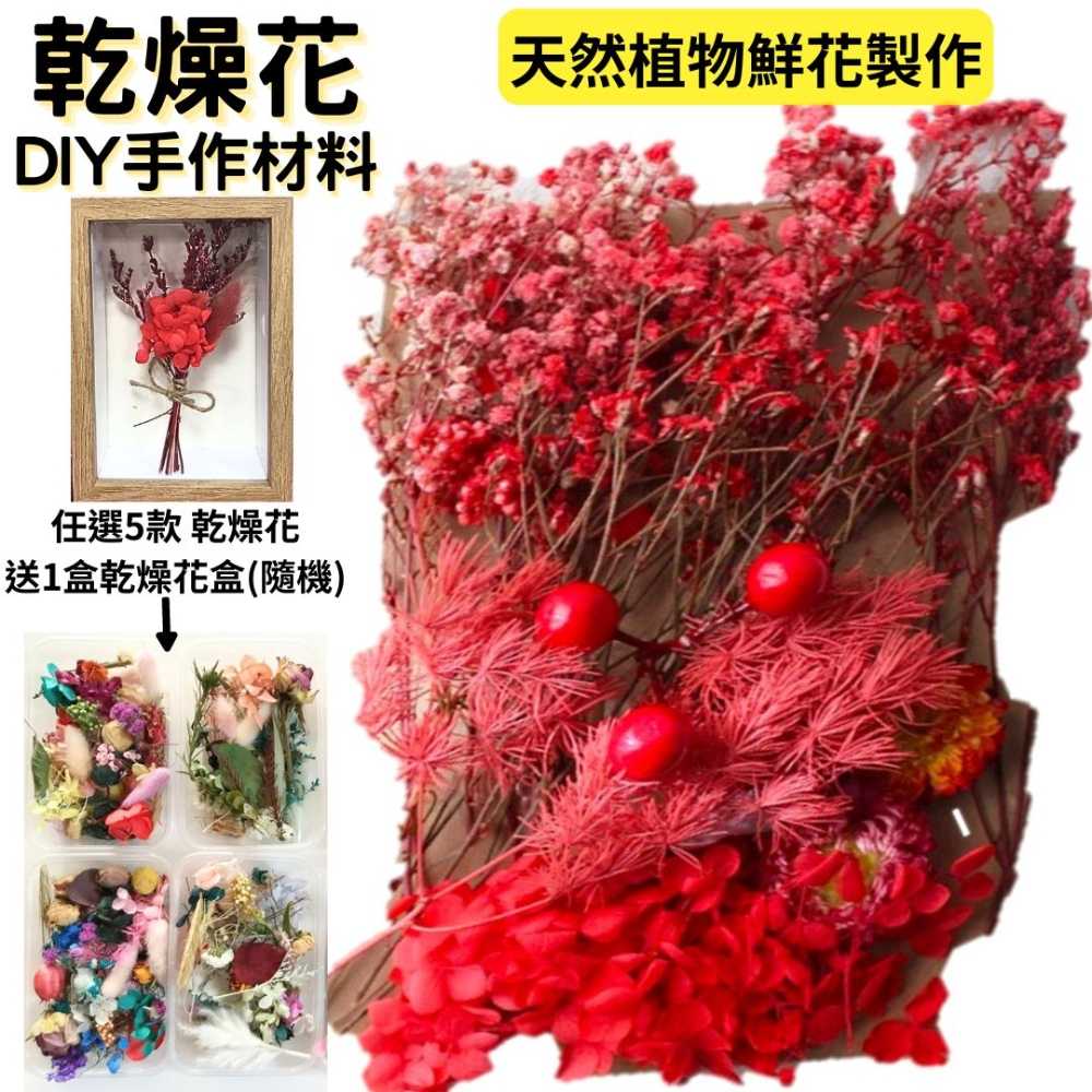 【A-ONE】紅乾燥花材料包 永生花 花材包 DIY 手作 桌花 永生玫瑰 花籃 花盅 七夕情人節 C05 紅豆相思