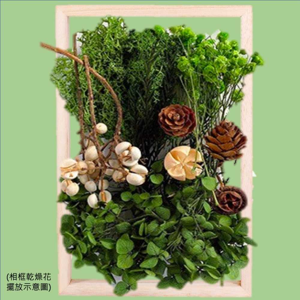 【A-ONE】乾燥永生花 不凋滿天星 捧花胸花 桌花花材 乾燥花束材料 不凋花玫瑰配材 素材 鄉村風 B10 魔法森林