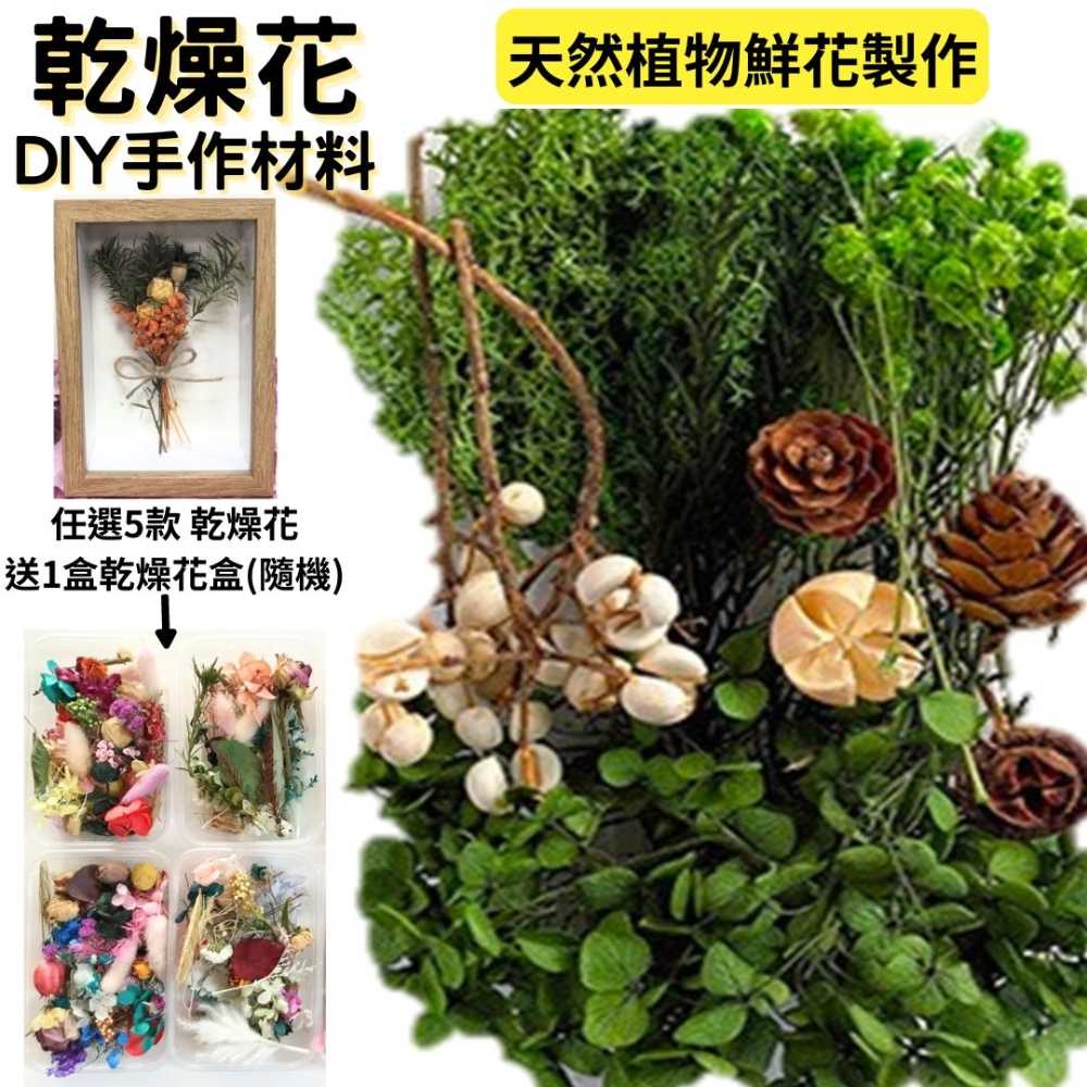 【A-ONE】乾燥永生花 不凋滿天星 捧花胸花 桌花花材 乾燥花束材料 不凋花玫瑰配材 素材 鄉村風 B10 魔法森林