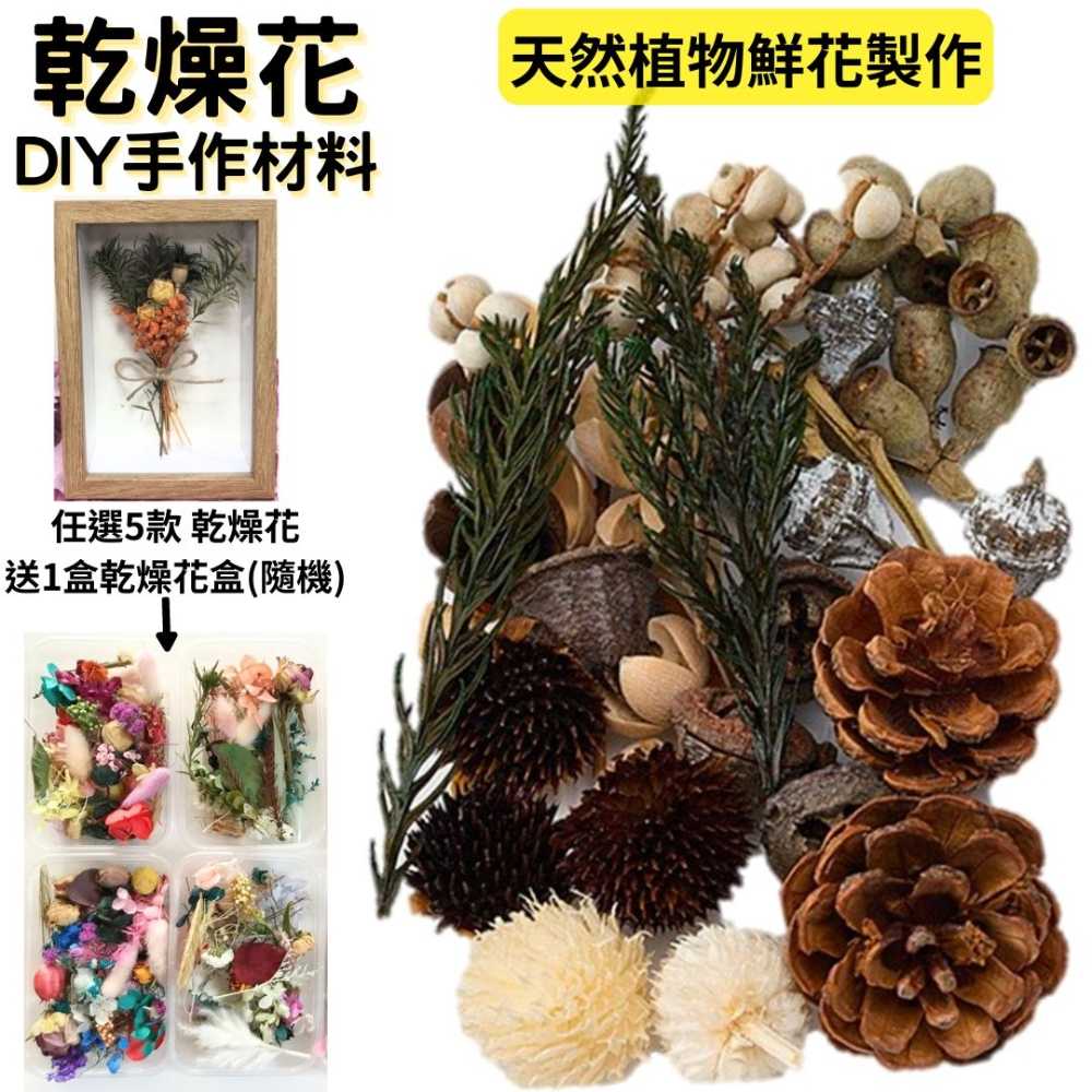 【A-ONE】乾燥花 永生花 DIY材料包 松果 樹葉 短枝花材 花藝材料包 DIY配件 B11 綜合乾果盒F