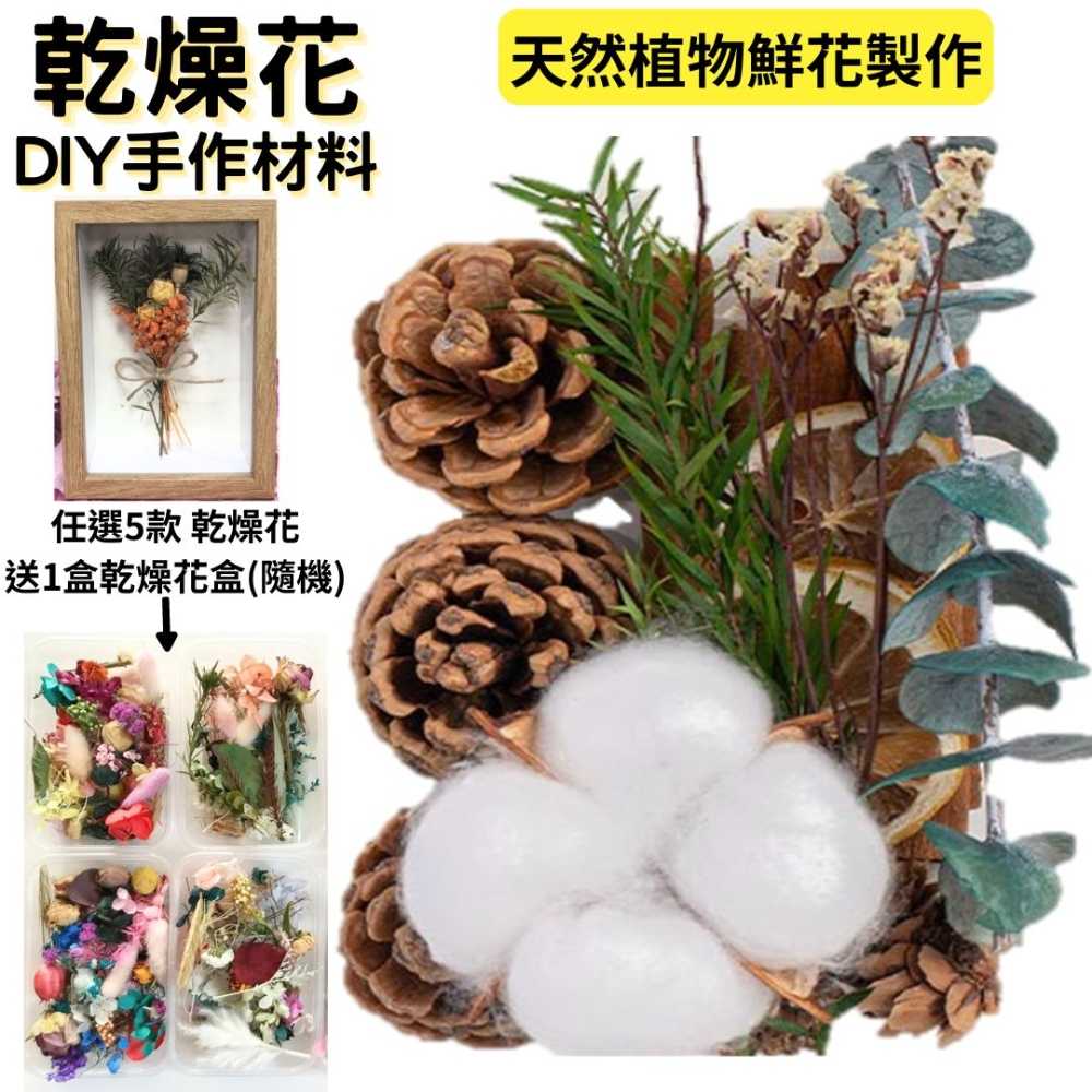 【A-ONE】乾燥棉花材料包 松果 壓花 DIY花材 花藝乾燥花 永生花 浮游花 香薰花材 B13 綜合乾果盒D