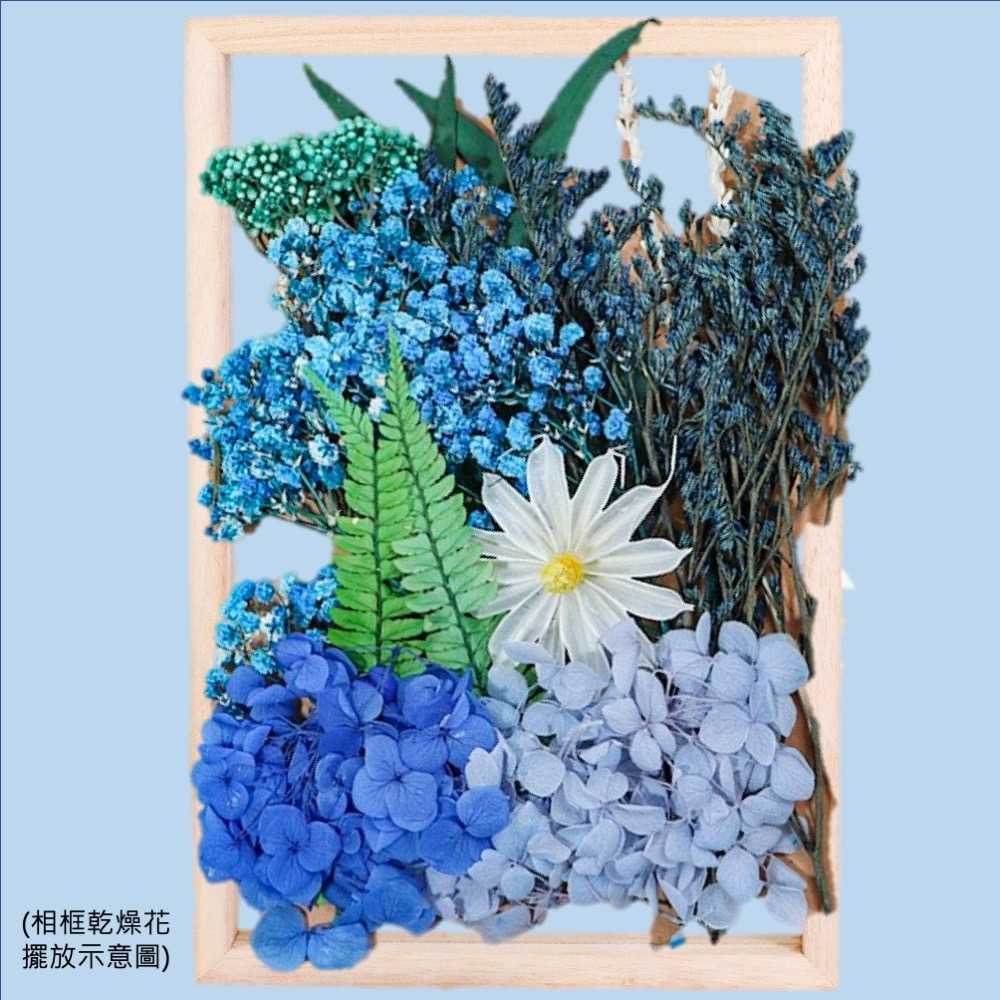 【A-ONE】永生花材料包 永生情人草 DIY天然乾燥花 植物果實 花材 花藝 乾燥花 不凋花 乾花 C13 藍色療癒