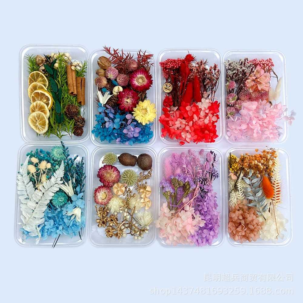 【A-ONE】永生情人草 3色混搭 乾燥花DIY材料包 花材料包 植物果實 花藝材料包 浮游花 綜合乾燥花 A20