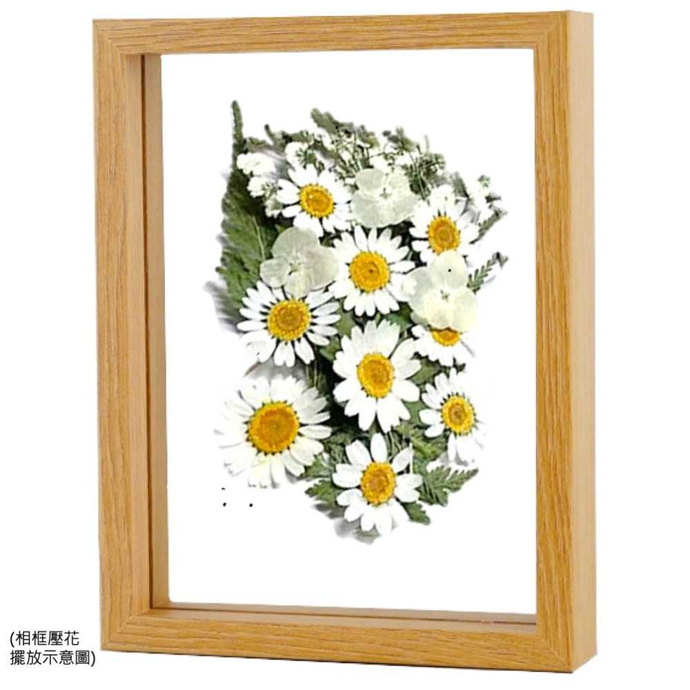 【A-ONE】乾燥真花壓花 乾燥花 拼貼 水晶滴膠 貼臉裝飾 新娘妝 少女寫真DIY 壓花材料 樹葉書籤